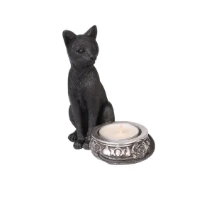 Black Cat T - Light