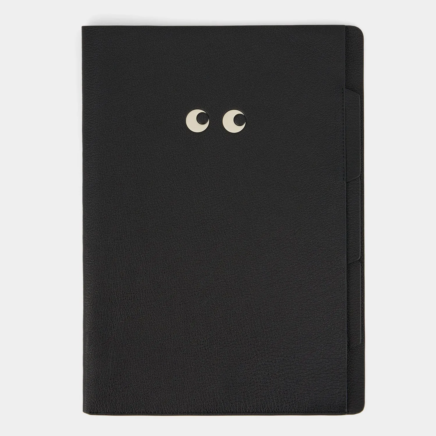 Eyes A4 Document Sleeve