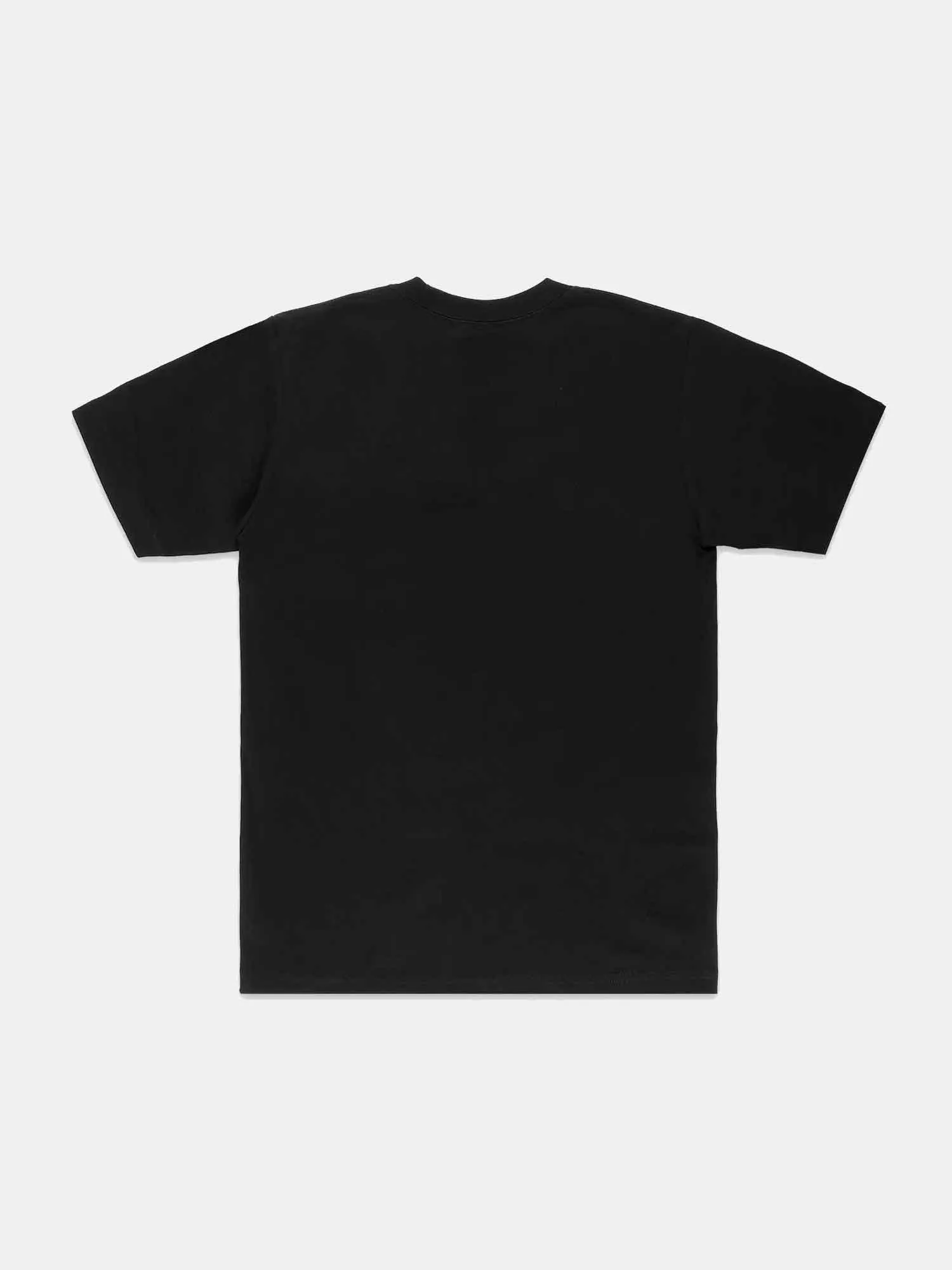 Primitive x Tupac Encore Heavyweight Tee - Black