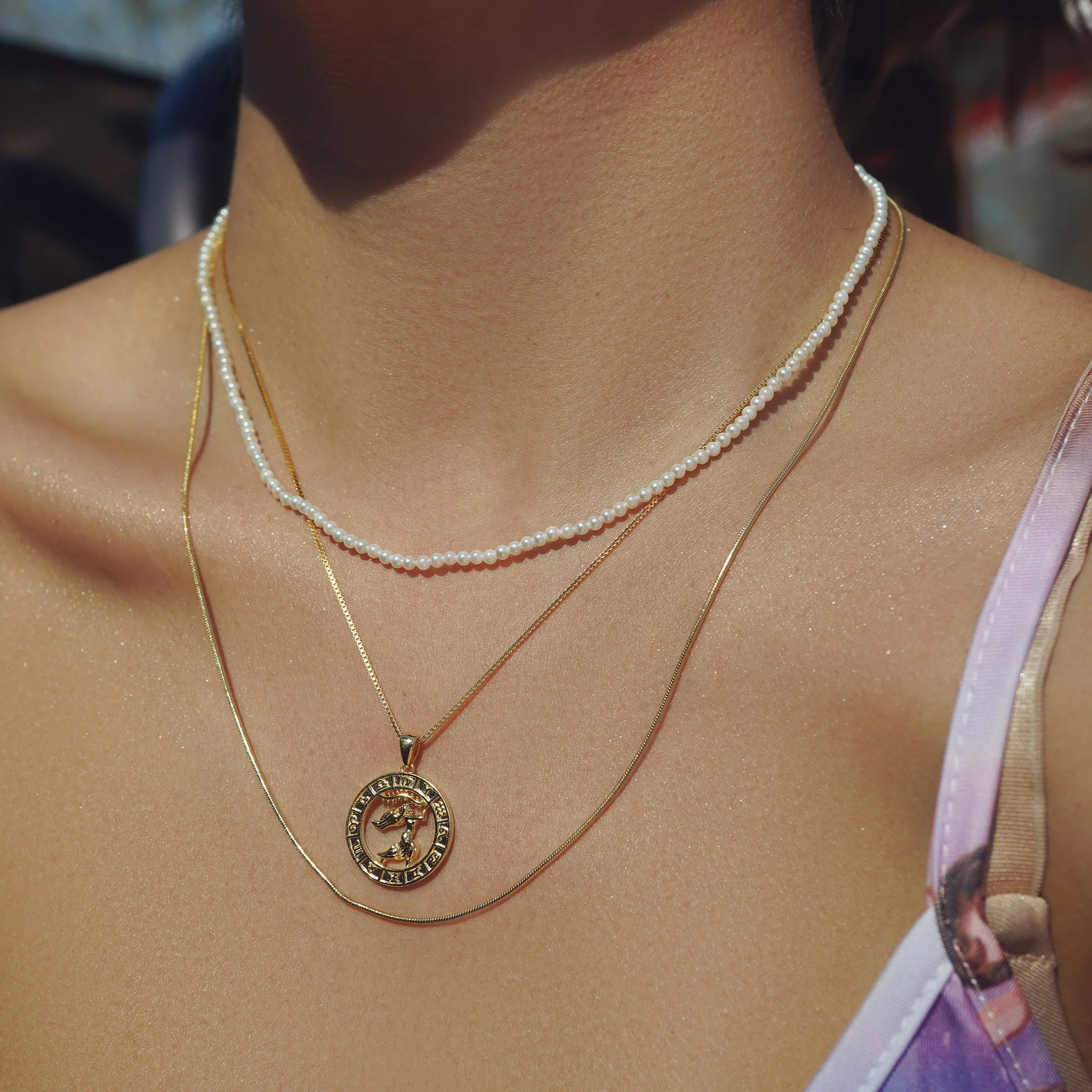 Zodiac Coin Necklace