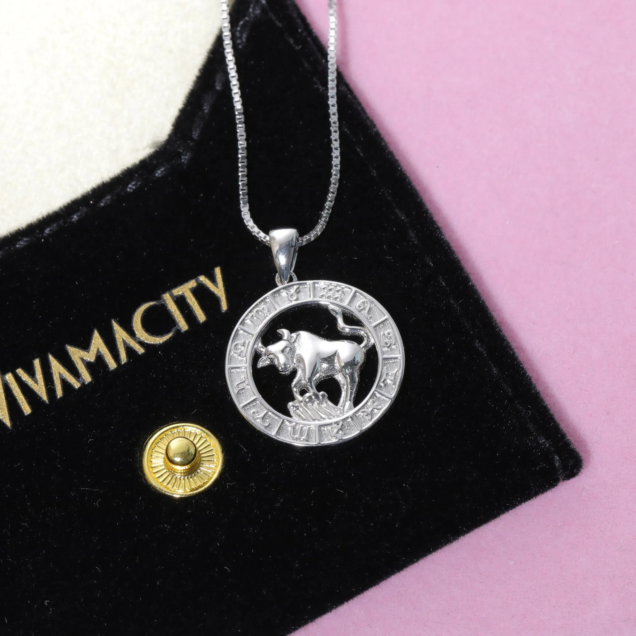 Zodiac Coin Necklace