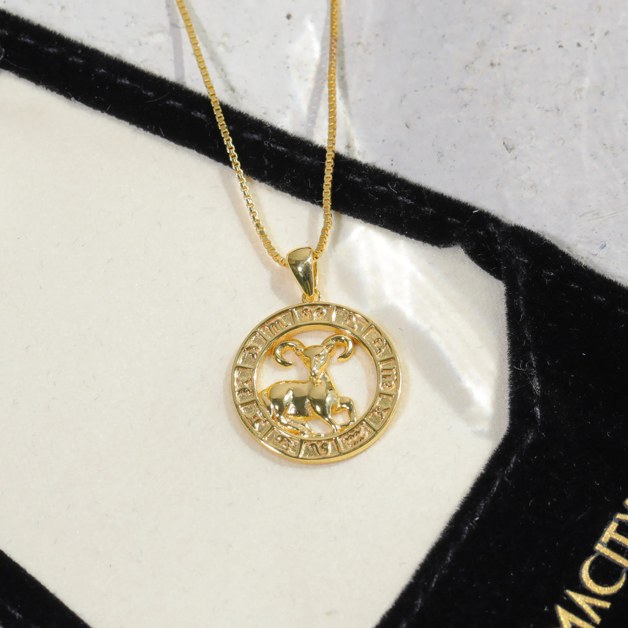 Zodiac Coin Necklace