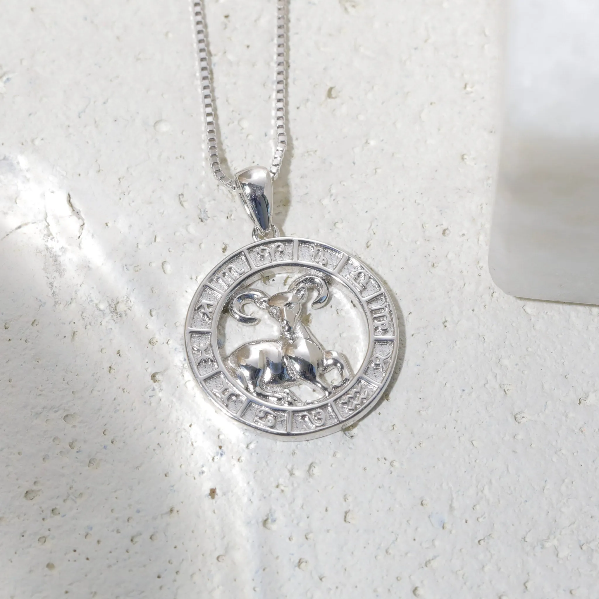 Zodiac Coin Necklace