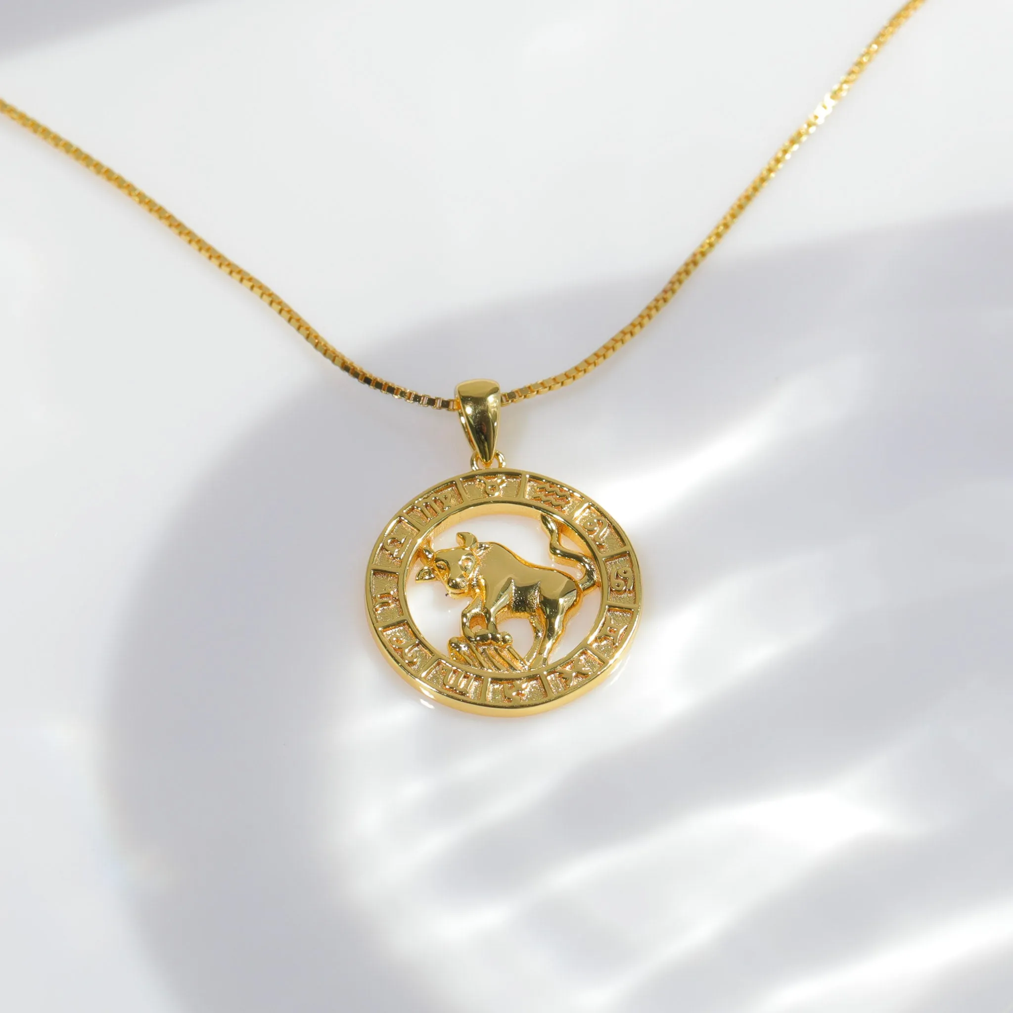 Zodiac Coin Necklace