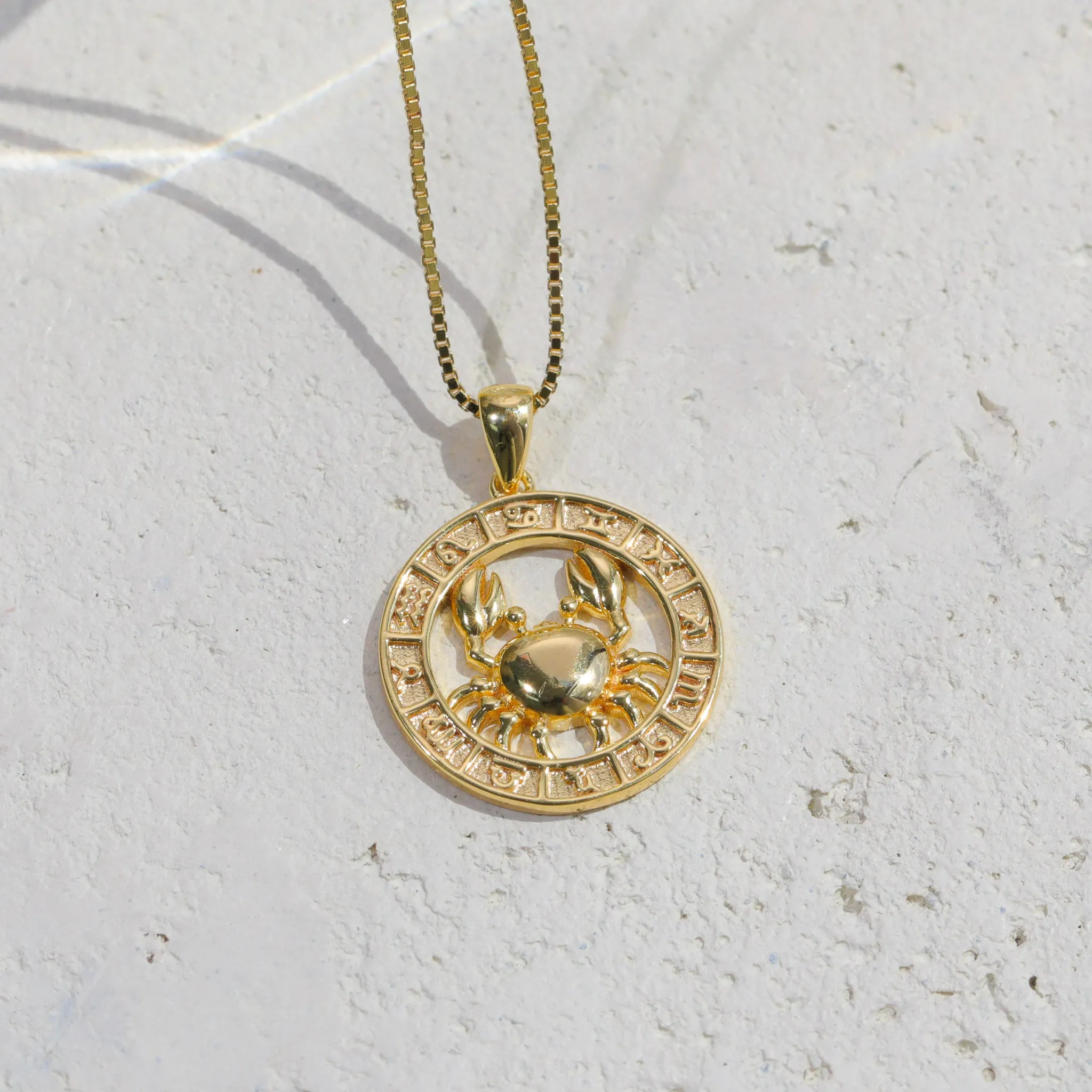 Zodiac Coin Necklace